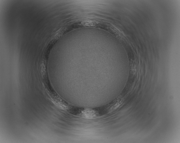 X0000073530603200608141028