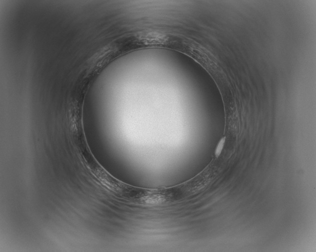 X0000073530604200608141028