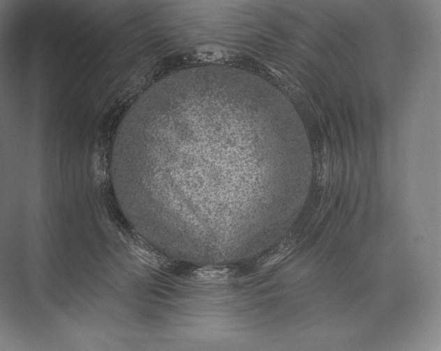 X0000073530606200608141028