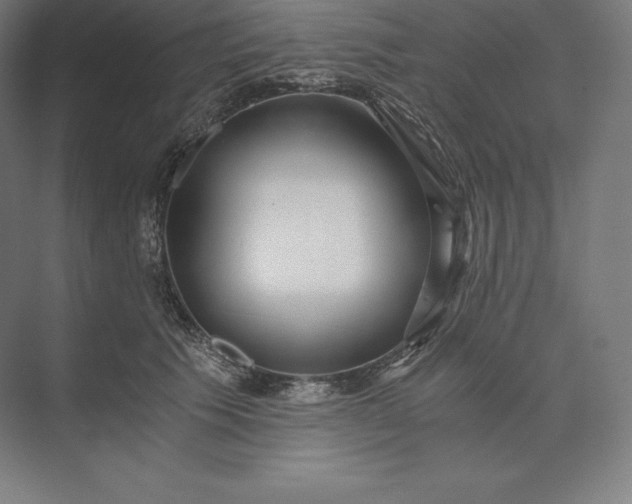 X0000073530609200608141028