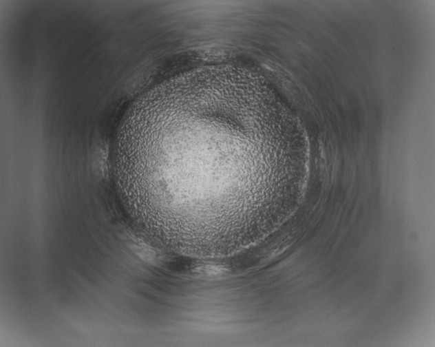 X0000073530610200608141028