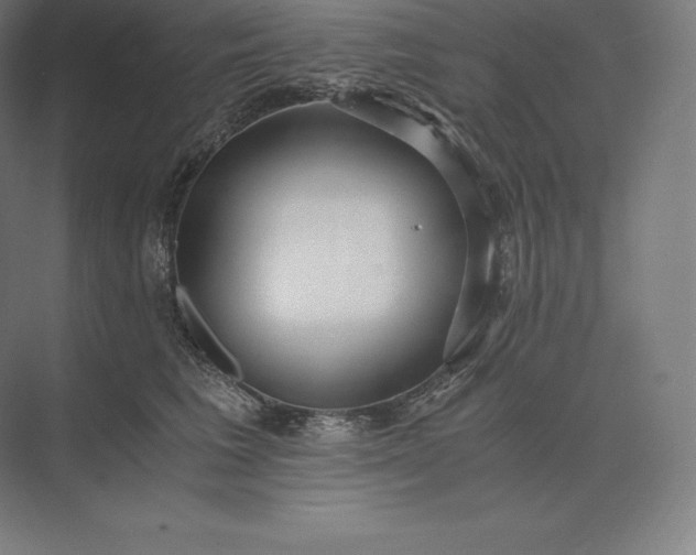 X0000073530613200608141028