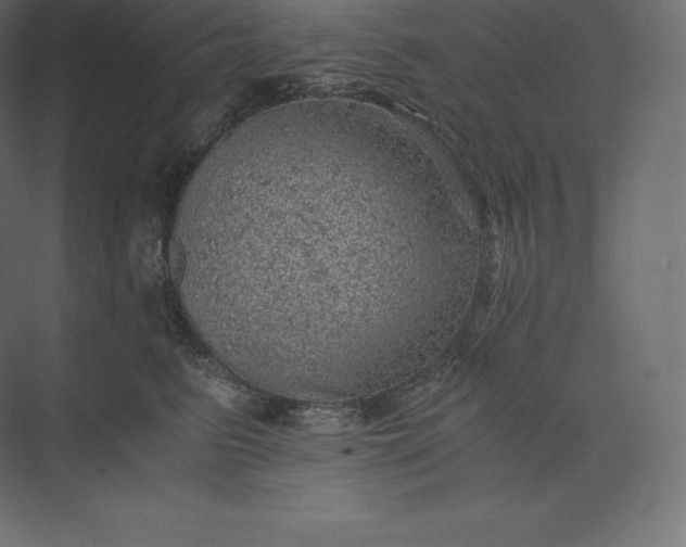 X0000073530615200608141028