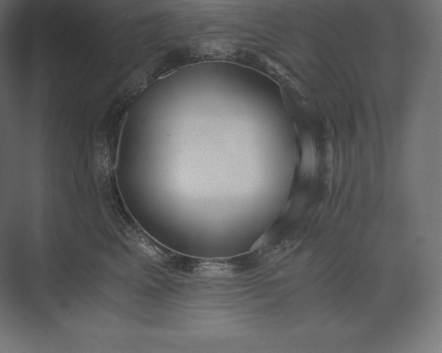 X0000073530617200608141028