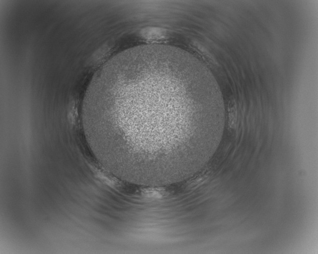 X0000073530618200608141028