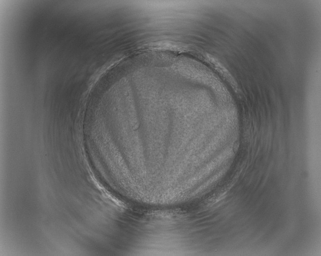 X0000073530625200608141027