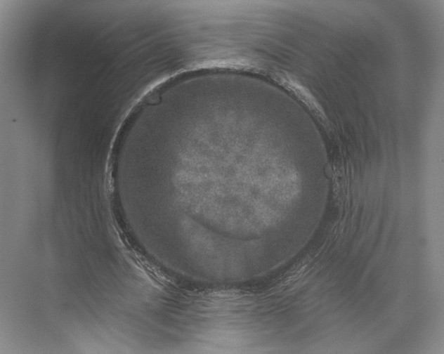 X0000073530628200608141027