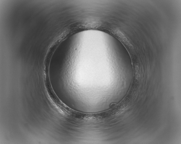 X0000073530634200608141027