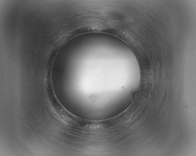 X0000073530639200608141027