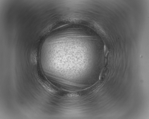 X0000073530644200608141027