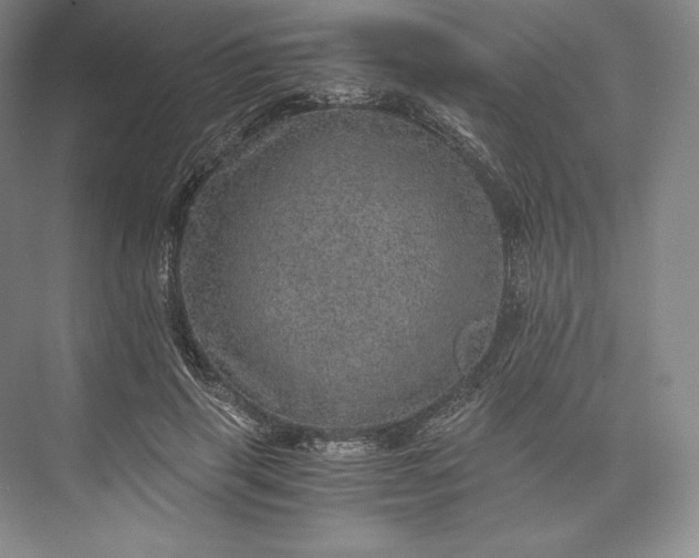 X0000073530645200608141027
