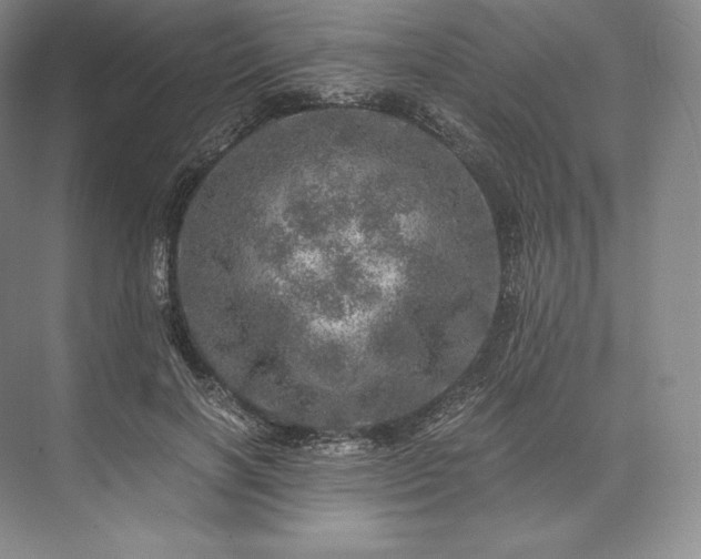 X0000073530646200608141027