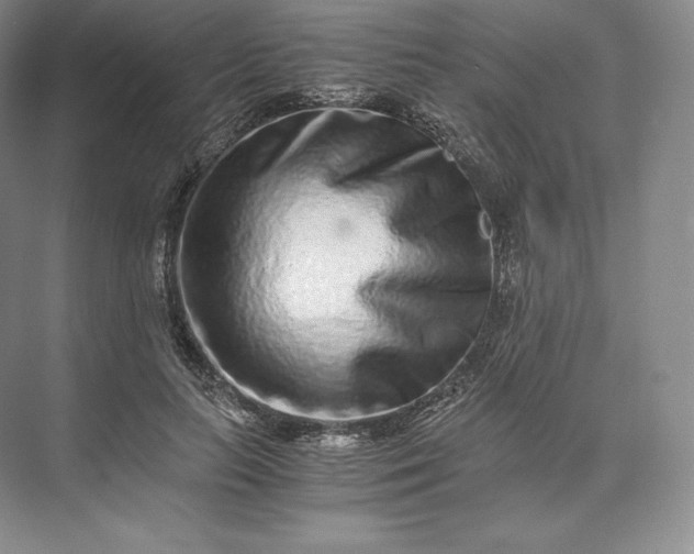 X0000073530647200608141027