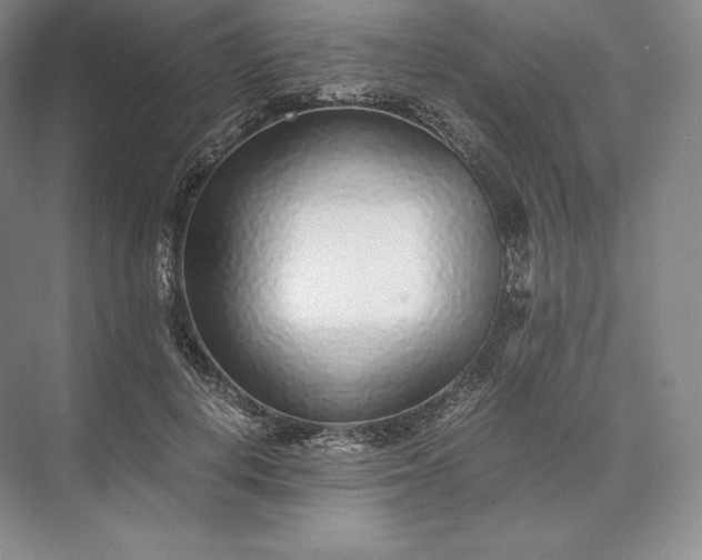 X0000073530648200608141027