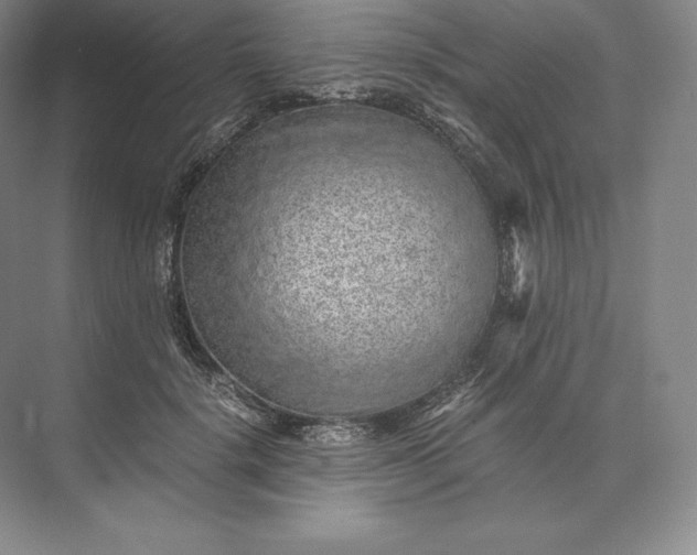 X0000073530652200608141027