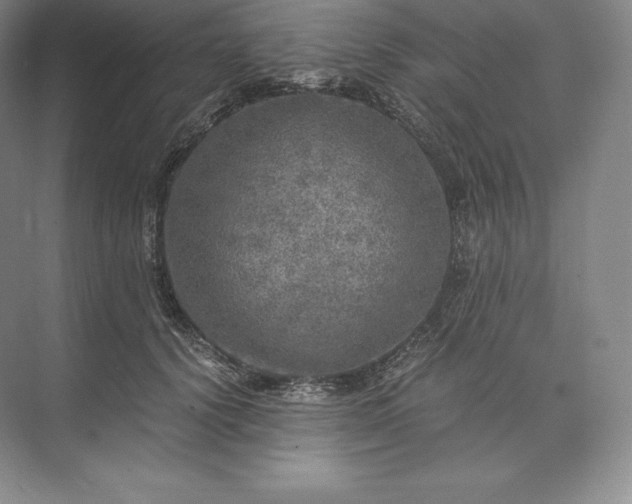 X0000073530656200608141027