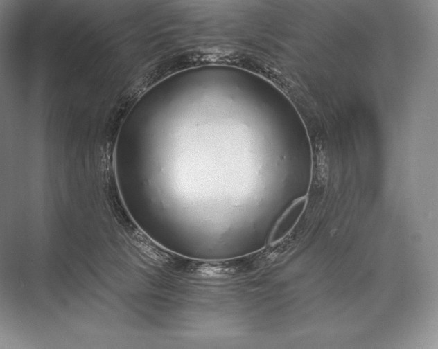 X0000073530657200608141027