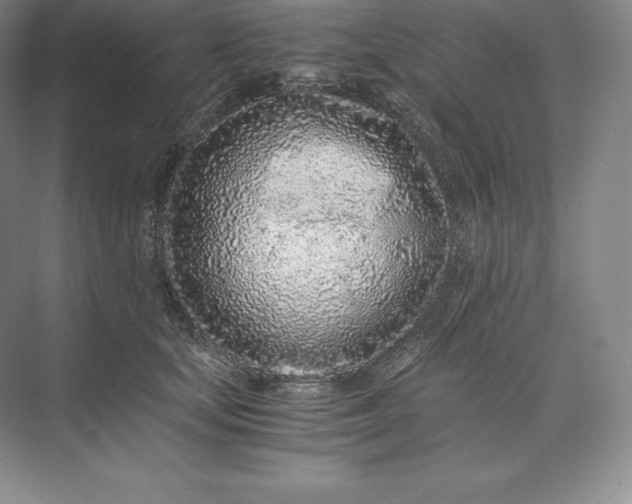 X0000073530659200608141027