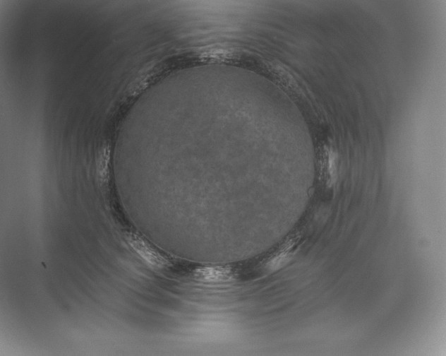 X0000073530660200608141027