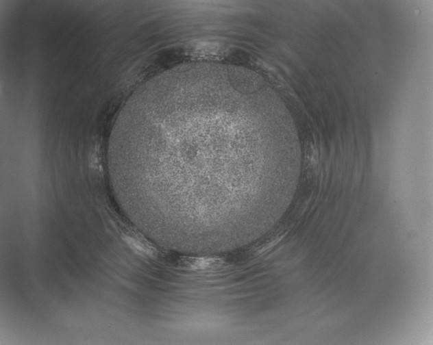 X0000073530663200608141028