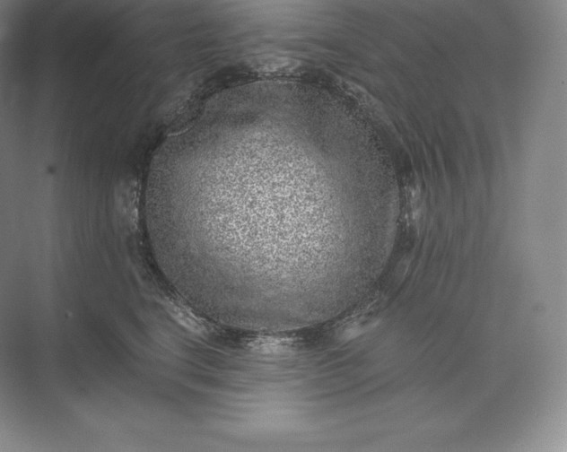 X0000073530664200608141028