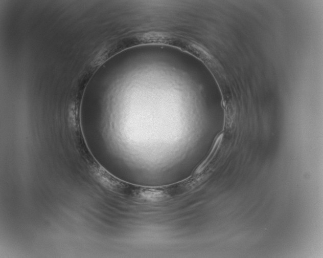 X0000073530669200608141028