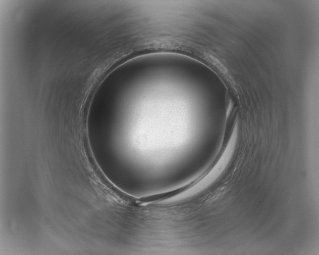 X0000073530673200608141027