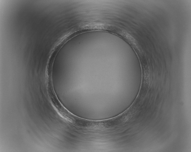 X0000073530674200608141027