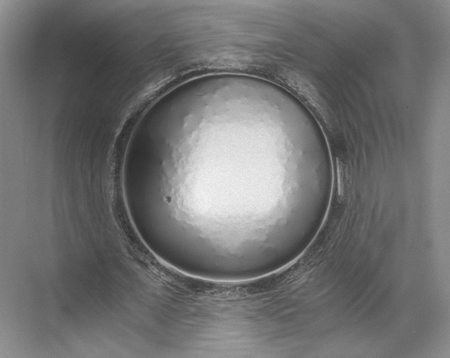 X0000073530675200608141027