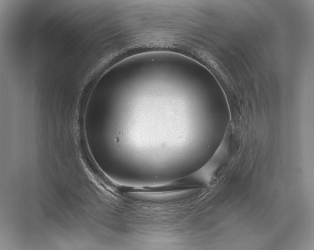 X0000073530677200608141027