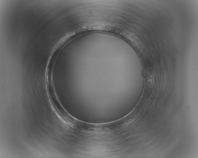 X0000073530678200608141027
