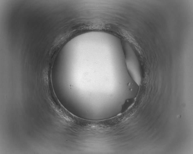 X0000073530681200608141027