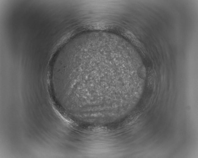 X0000073530683200608141027