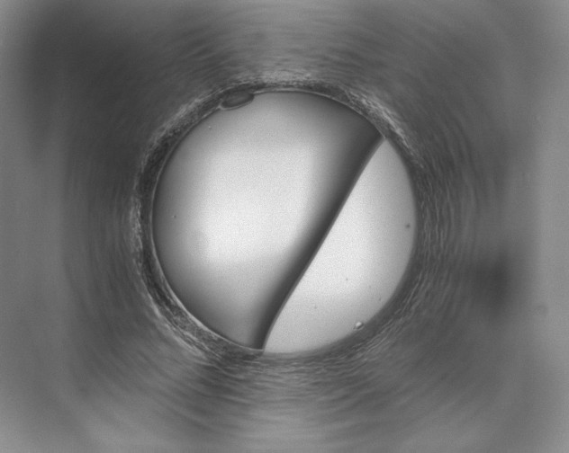 X0000073530684200608141027