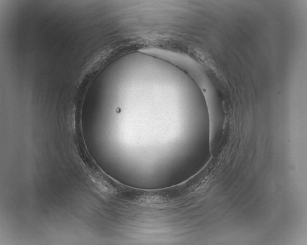 X0000073530685200608141027