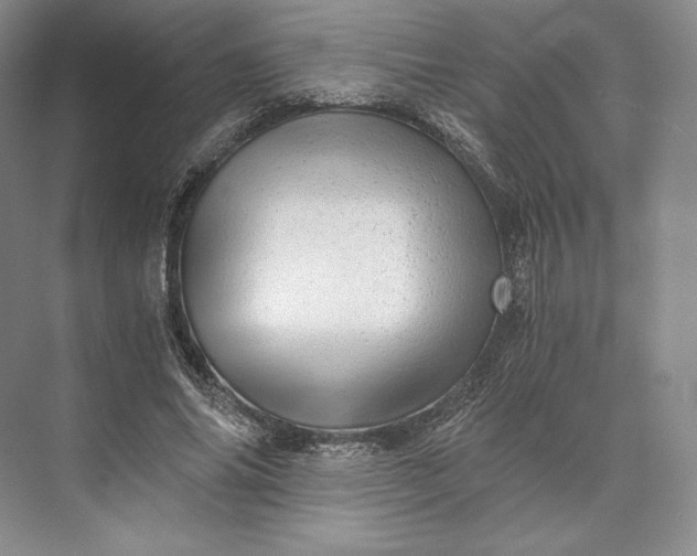X0000073530686200608141027