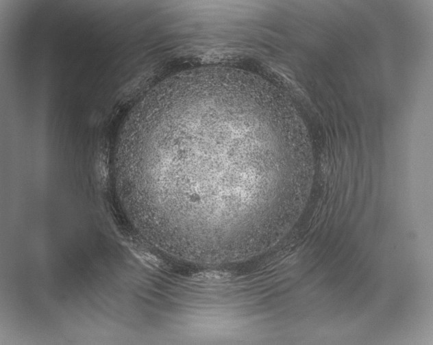 X0000073530691200608141027