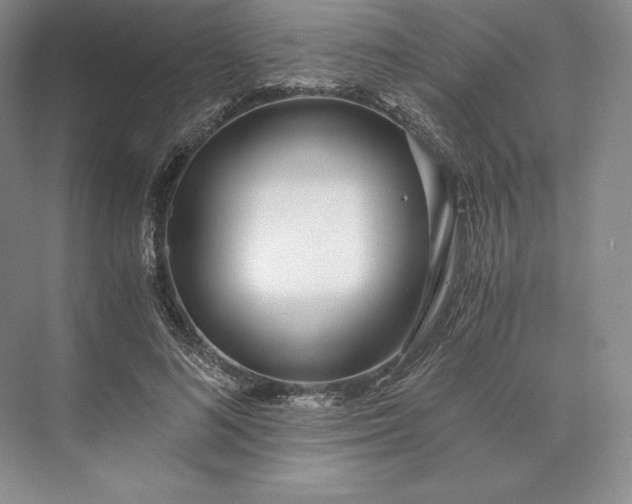 X0000073530692200608141027