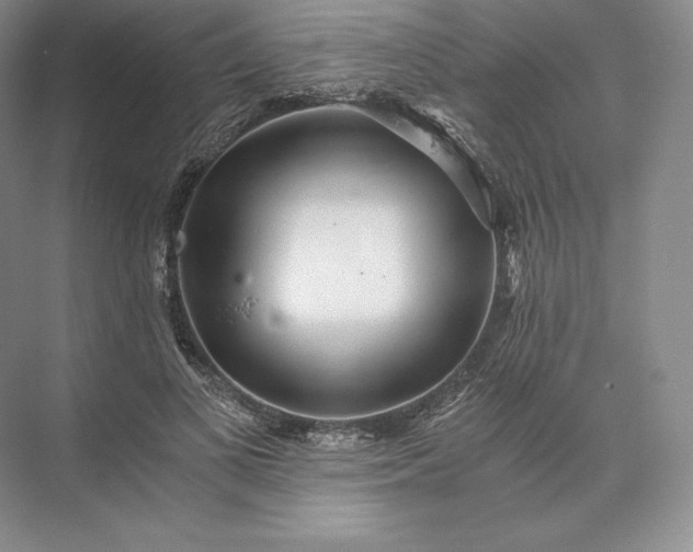 X0000073530693200608141027