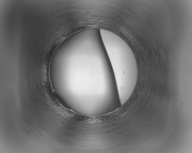 X0000073530696200608141026