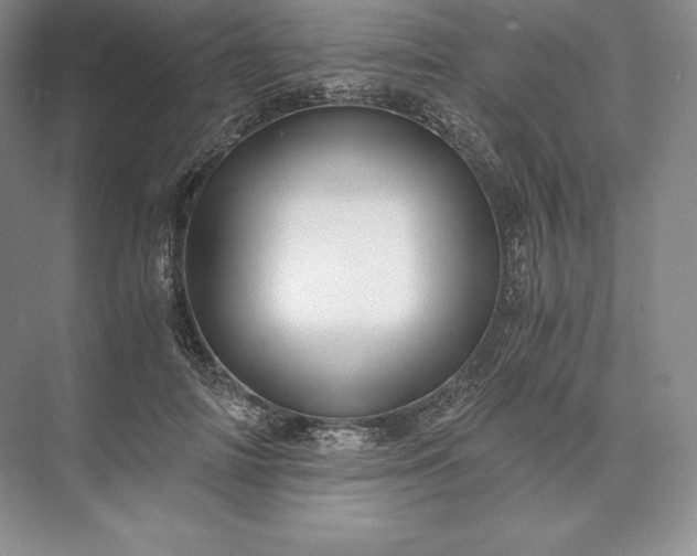 X0000073530698200608141026