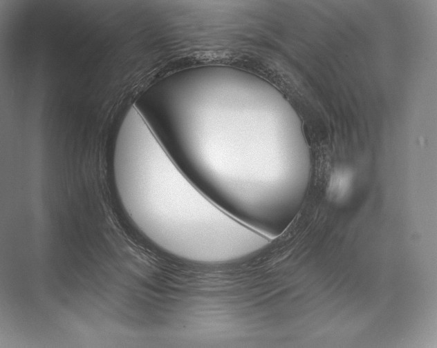 X0000073530700200608141026