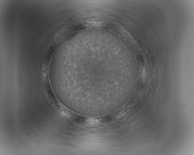 X0000073530701200608141026