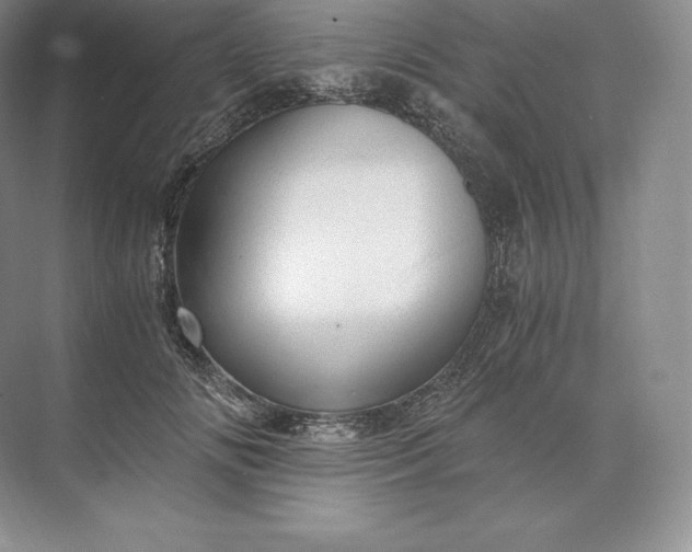 X0000073530702200608141026