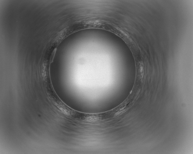 X0000073530708200608141026