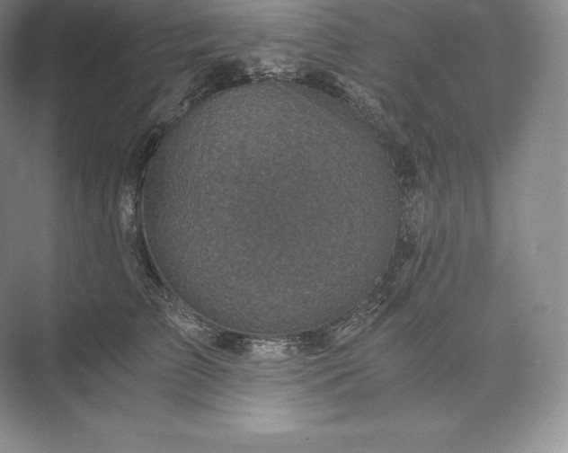 X0000073530709200608141026