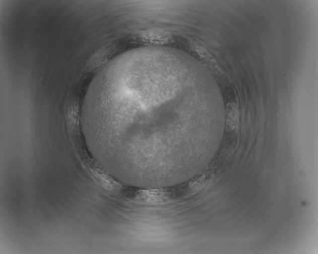 X0000073530713200608141026