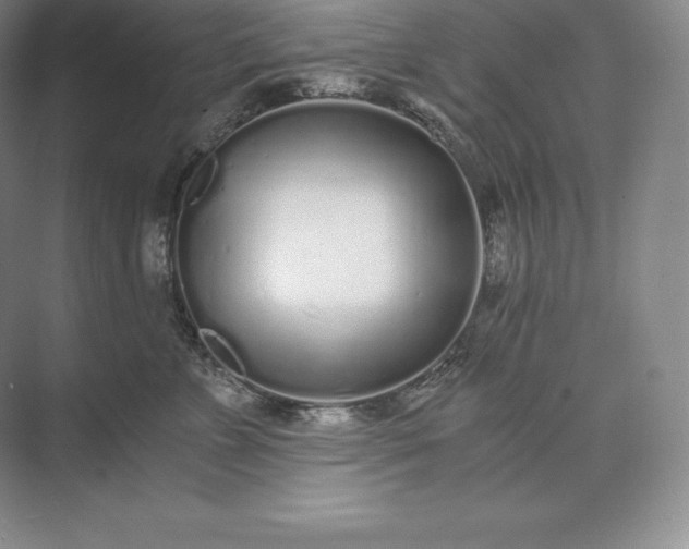 X0000073530715200608141026