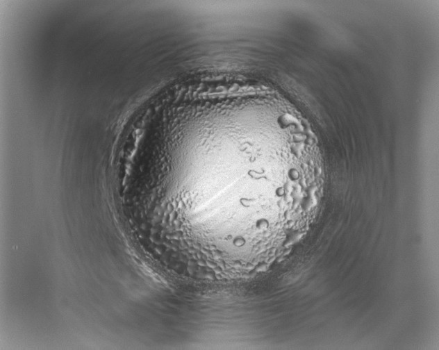 X0000073530721200608141025