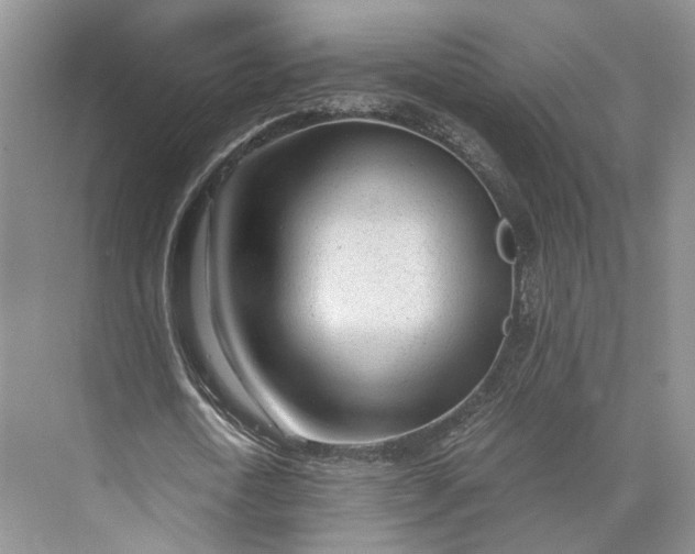 X0000073530722200608141025